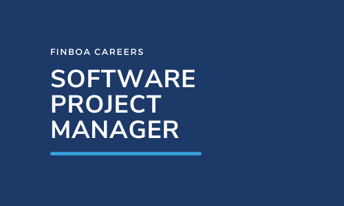 Software Project Manager Job